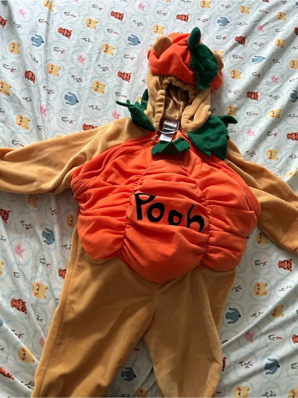 Disney Orange and Green Pumpkin Pooh Kids Costume